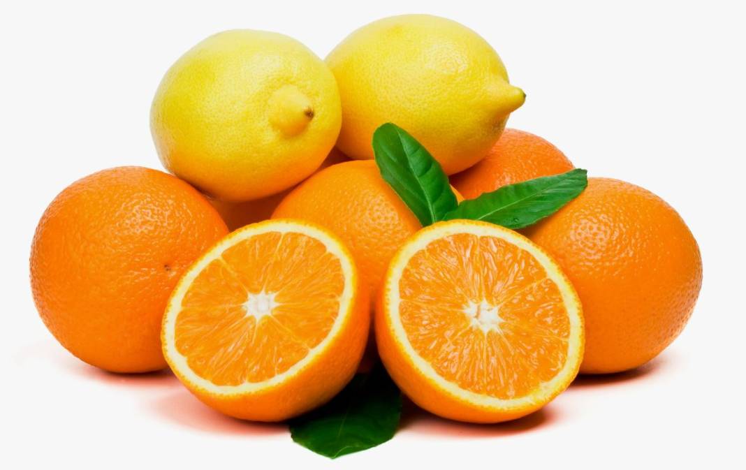 Aynı familyaya sahip portakal ve limon neden farklı kokar? 18
